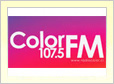 Radio Color de El Palqui online